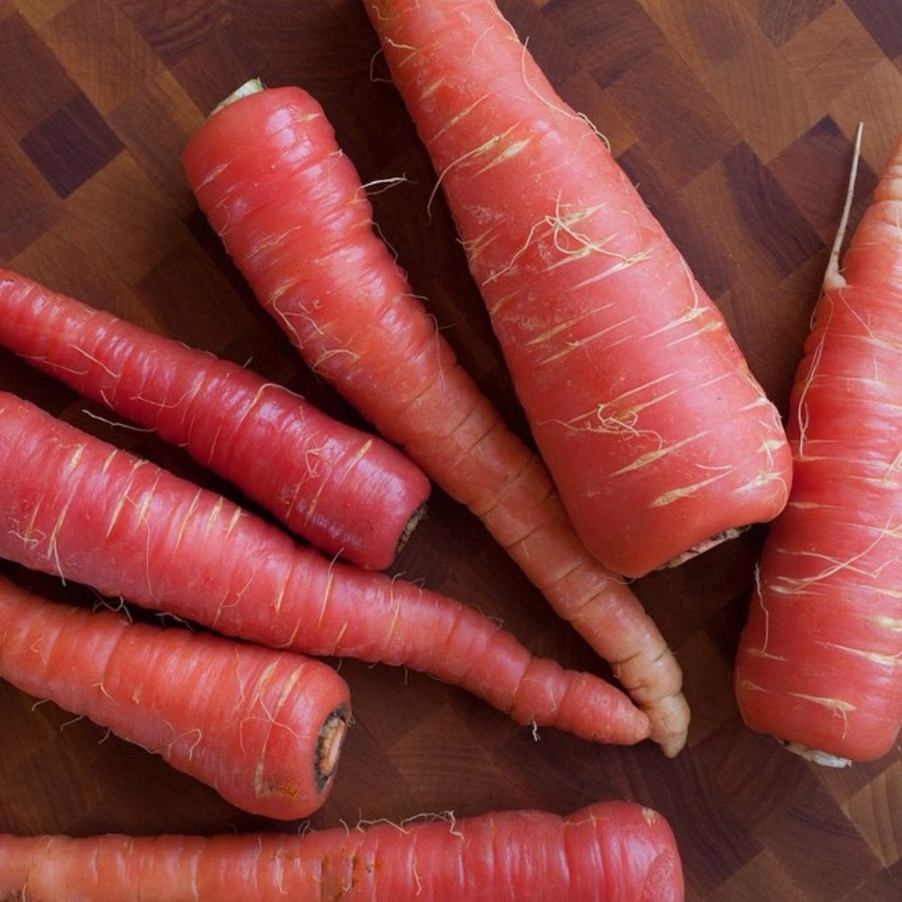 Organic Red carrot<500g>