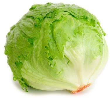 Iceburg Lettuce<400 gms>