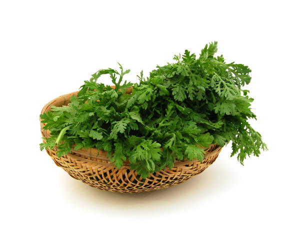 春菊<200グラム>