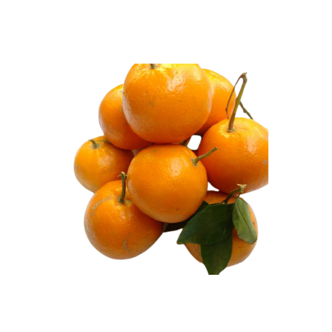 Organic Kinnow<500 grams>