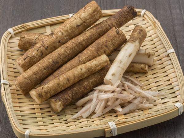 ごぼう Fresh Burdock (GOBOU)