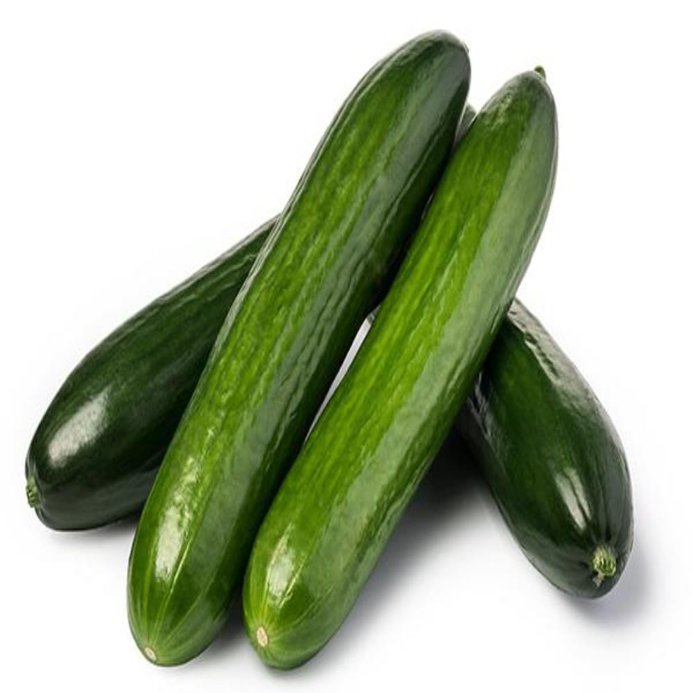 種なしキュウリ<500グラム>