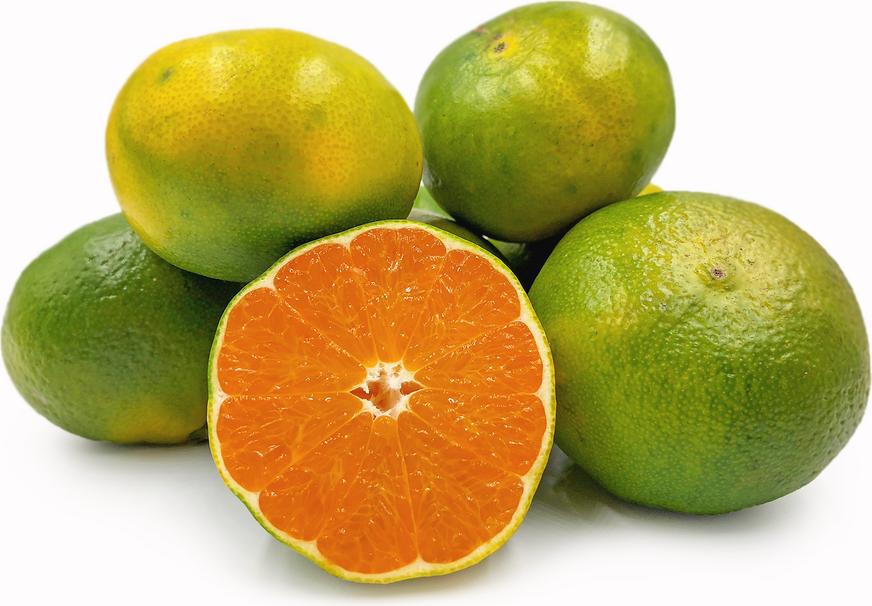 Orange<500 gms>