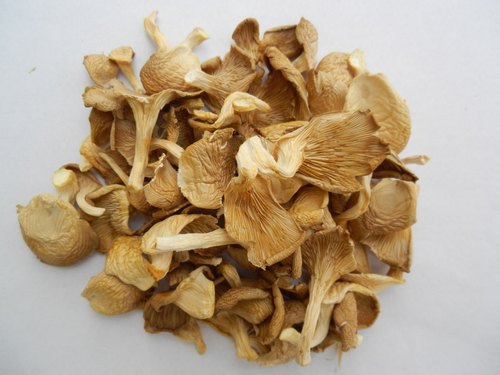 Dried oyster mushroom