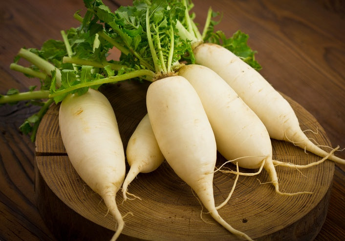Daikon ( Japanese veriety)Big Size 1 pcs