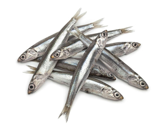 Anchovy <250g>