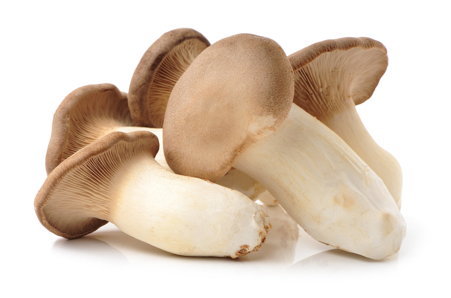 Cut Mushrooms