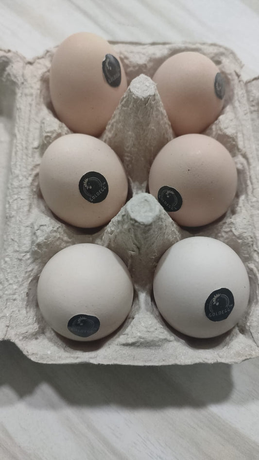 Kadaknath Authentic Organic egg ( 6piece)