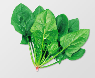 Japanese Spinach<200g>