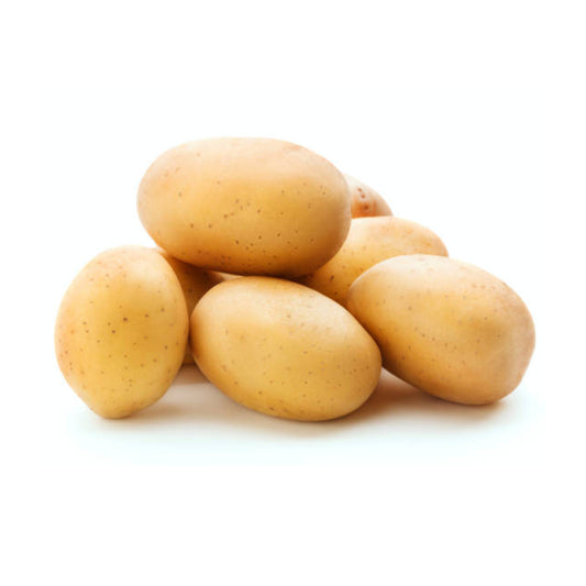 Potato<500 grams>