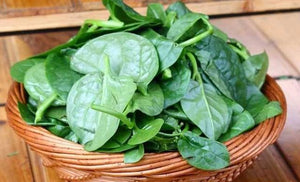 Malabar spinach